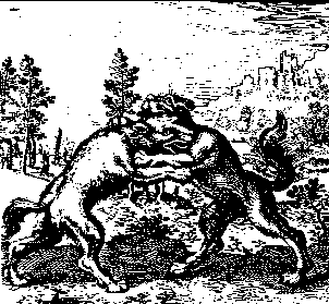 A wolf and dog fighting, from Atalanta Fugiens.